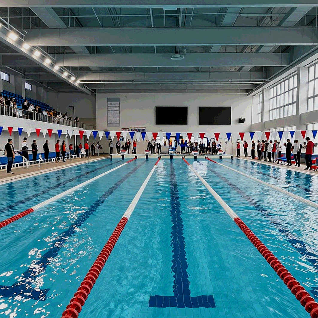 Bơi Việt Nam: HCV SEA Games và những giây không ai đếm
