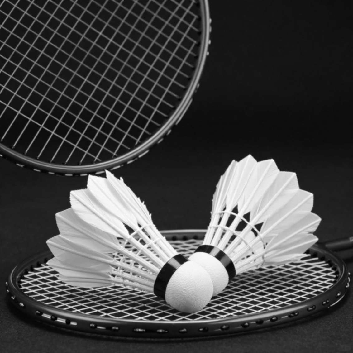 Khói mù Indonesia Masters Super 100 và câu hỏi Ashmita Chaliha ném thẳng vào BWF